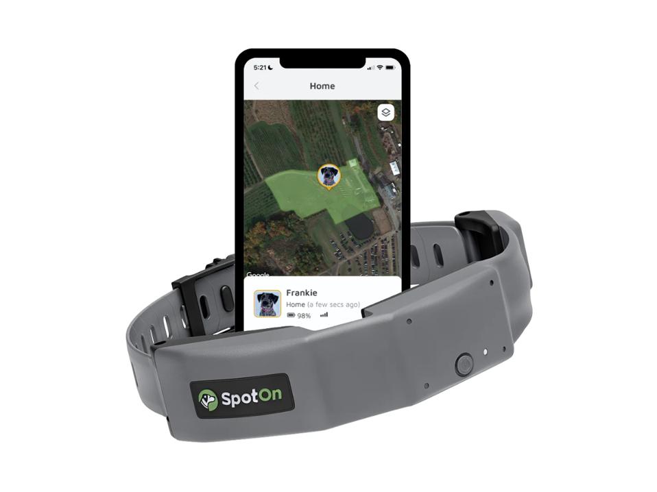 SpotOn GPS Fence gray dog collar & app w/ spoton text & logo on white background 