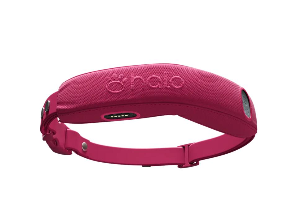 image of pink halo 4 gps dog collar on white background